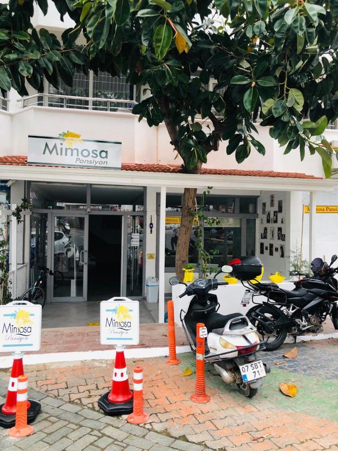 Mimosa Pension Kaş Zewnętrze zdjęcie