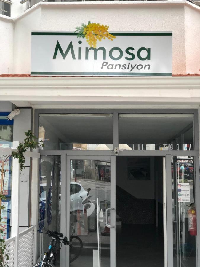 Mimosa Pension Kaş Zewnętrze zdjęcie