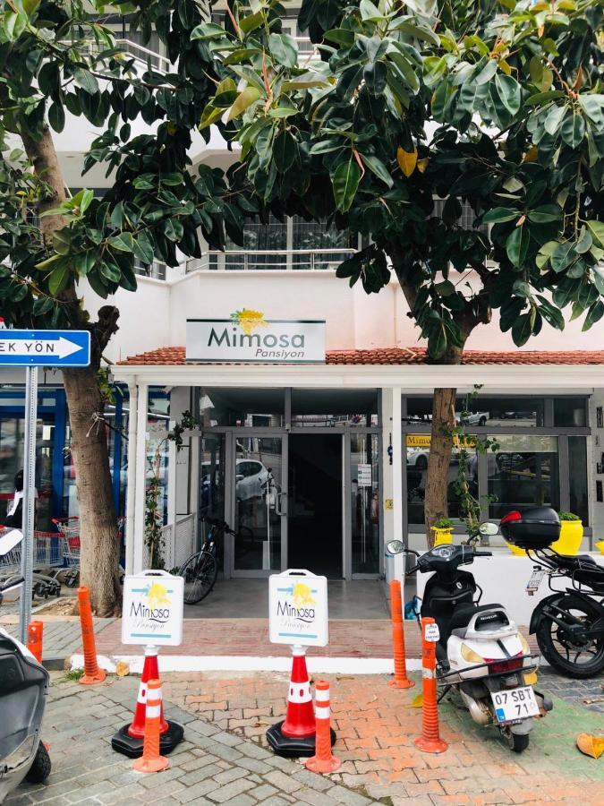 Mimosa Pension Kaş Zewnętrze zdjęcie