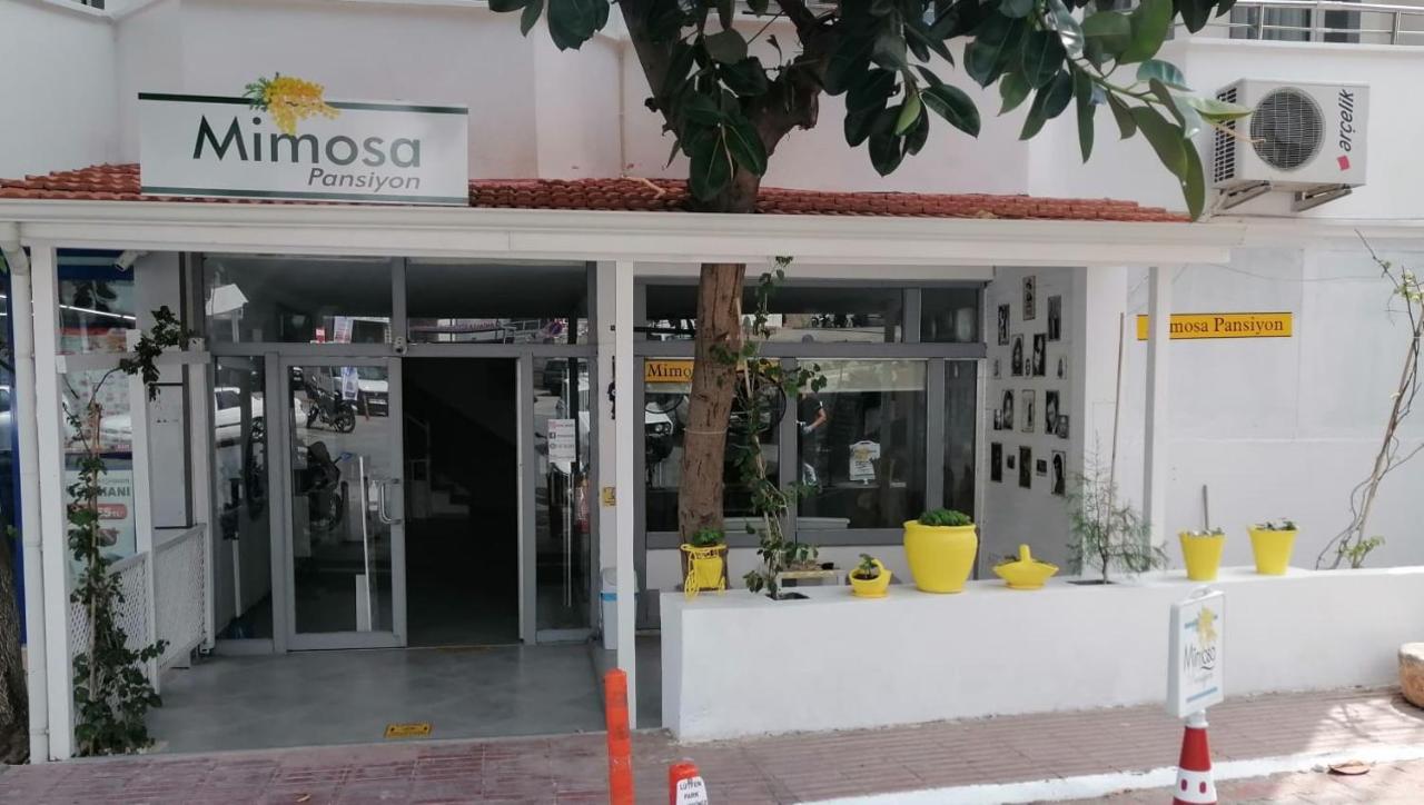 Mimosa Pension Kaş Zewnętrze zdjęcie
